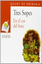 En el cor del bosc, 4 Educación Primaria (Valencia). Blíster