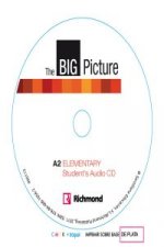 Big Picture Elementary Workbook Pack (Workbook & Student