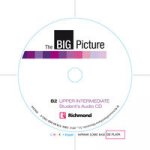 Big Picture Upper Intermediate Workbook Pack (Workbook &