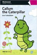 Callum the caterpillar, Educación Primaria