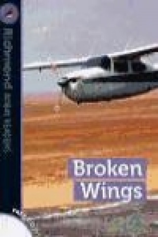 Broken wings, level 6