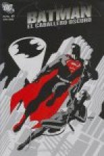 Batman El caballero oscuro 11