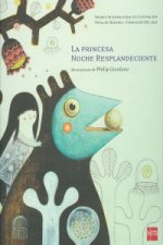 La princesa noche resplandeciente