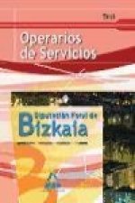Operarios de Servicios, Diputación Foral de Bizkaia. Test