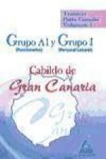 Grupo A1 (funcionarios) y Grupo I (personal laboral) del Cabildo de Gran Canaria. Temario parte común. Volumen I