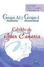 Grupo A1 (funcionarios) y Grupo I (personal laboral) del Cabildo de Gran Canaria. Temario parte común. Volumen II