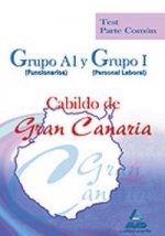 Cabildo de Gran Canaria, Grupo A1 (funcionarios) y Grupo I (personal laboral). Test parte común