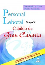 Grupo V, personal laboral, Cabildo de Gran Canaria. Temario y test parte común