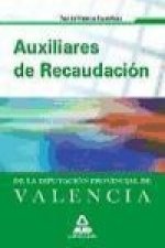 Auxiliares de Recaudación, Diputación Provincial de Valencia. Test de materias específicas