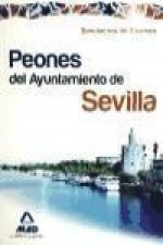 Peones, Ayuntamiento de Sevilla. Simulacros de examen