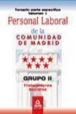 Personal laboral de la Comunidad de Madrid. Grupo II. Trabajadores Sociales. Temario parte específica volumen I