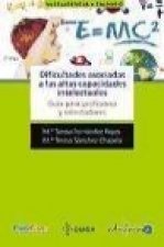 Dificultades asociadas a las altas capacidades intelectuales : guía para profesores y orientadores