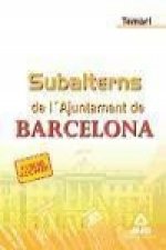 Subalterns, Ajuntament de Barcelona. Temari