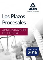 Los plazos procesales