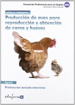 Producción de aves para reproducción y obtención de carnes y huevos : producción avícola intensiva
