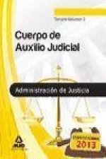 Cuerpo de Auxilio Judicial de la Administración de Justicia. Vol. II, Temario