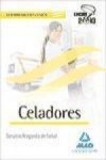 Celadores del Servicio Aragonés de Salud. Temario materia común