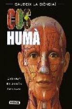 El cos huma