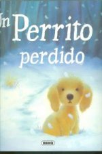 Un perrito perdido