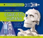 Esqueleto humano