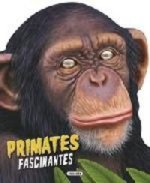 Primates fascinantes