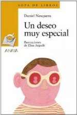 Un deseo muy especial