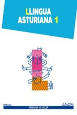 Llingua asturiana 1