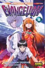 Neogénesis evangelion 13