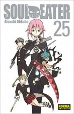 Soul Eater 25