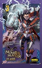 Monster Hunter Flash 03