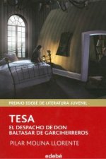 Tesa. El despacho de don Baltasar de Garciherreros