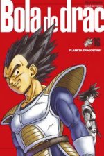 Bola de Drac 16