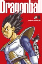 Dragon Ball 16