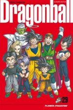 Dragon Ball 29