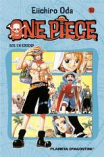 One Piece 18, Ace en escena