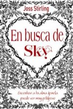 Almas gemelas 1. En busca de Sky