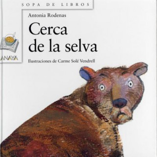 Cerca de la selva