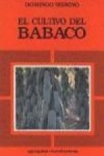 El cultivo del babaco