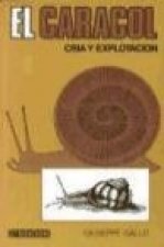 El caracol