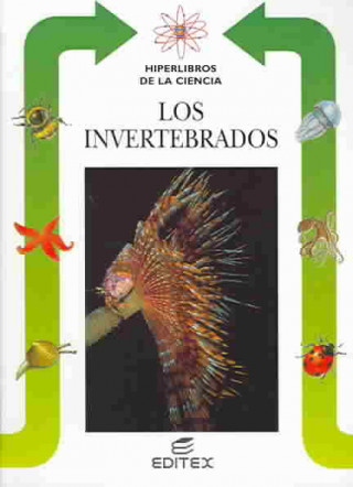 Losa invertebrados