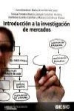 Introducción a la investigación de mercados