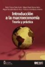 Introducción a la macroeconomía : teoría y práctica