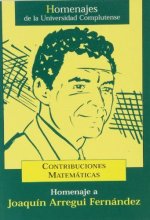 Homenaje a Joaquín Arregui Fernández, contribuciones matemáticas