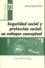 Seguridad social y protección social : un enfoque conceptual