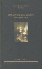 Por sendas del Quijote innumerable