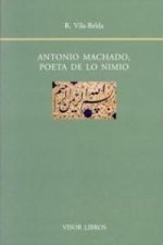 Antonio Machado, poeta de lo nimio