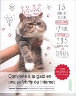 Convierte a tu gato en una celebrity de internet