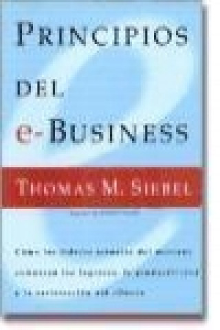 Principios del e-Business