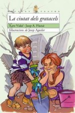 La ciutat dels gratacels
