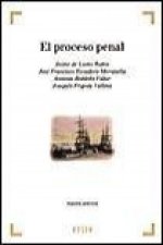 El proceso penal, aspectos prácticos